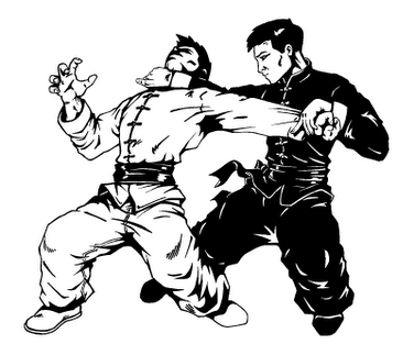 Kung Fu em Porto Velho