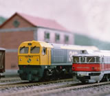 Modelismo em Porto Velho