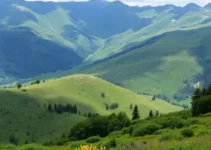 Parque Natural