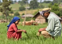 atendimento à população rural