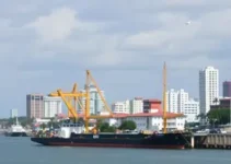 leis de valorização dos servidores