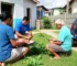 coleta de lixo em Porto Velho