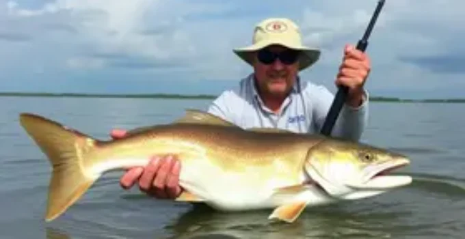 pesca esportiva