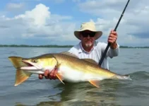 pesca esportiva