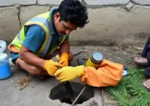 tapa buraco Nova Floresta Socialista