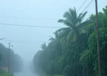 chuva forte e ventos em Rondônia