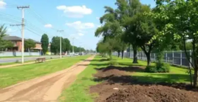 roçagem