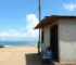 acolhimento e proteção em Porto Velho