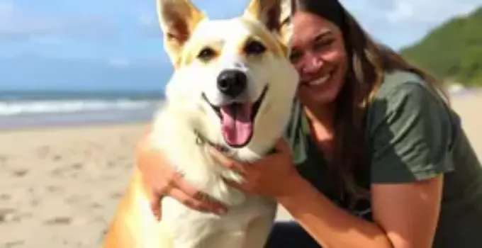 histórias de superação cães resgatados