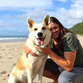 histórias de superação cães resgatados