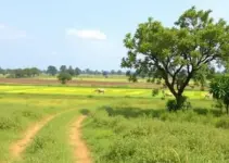ITR 2026