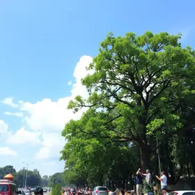 Dia da Árvore