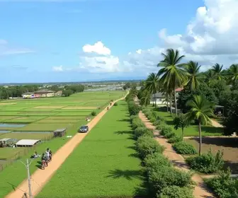 Porto Velho