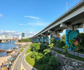 revitalização dos viadutos de Porto Velho